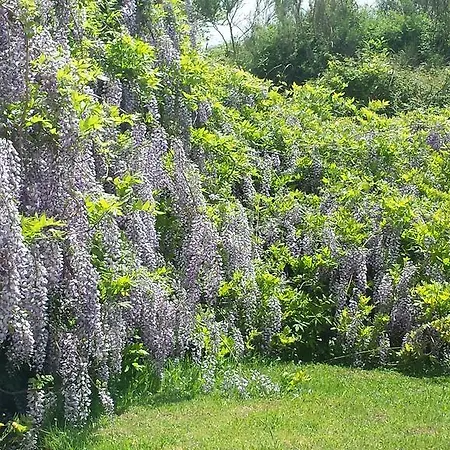 Chalet Del Cilento Orria